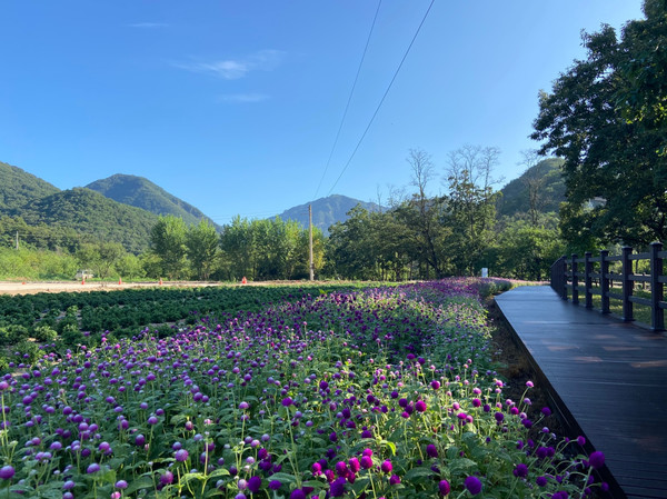 재인폭포(한탄강 유네스코 세계지질공원). 사진제공=연천군