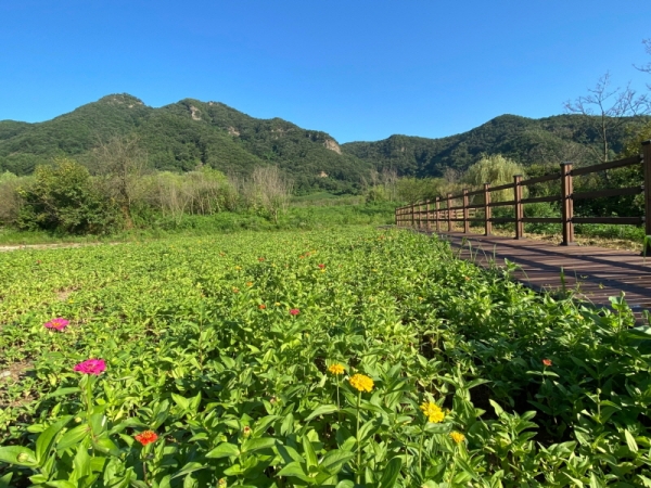 재인폭포(한탄강 유네스코 세계지질공원). 사진제공= 연천군