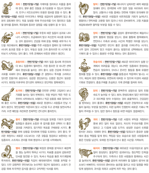 2025년 10월 1일 ~ 10월 15일 띠별 운세