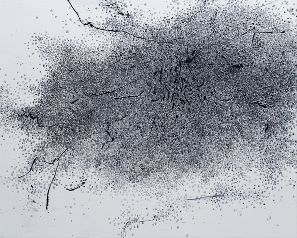 차명희, 숲, 2025, 캔버스에 아크릴, 목탄, 130x162cm