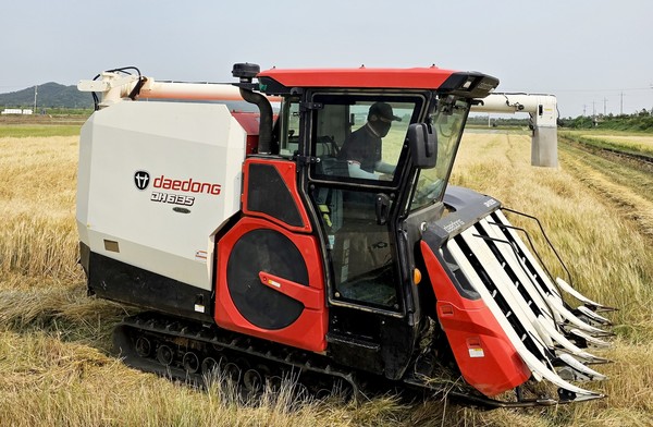 대동 DH6135-A 콤바이 작업 사진. 사진=대동