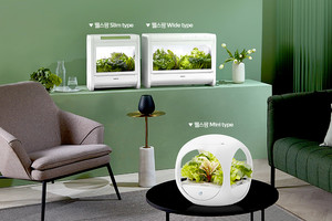 &apos;채소 셀프 재배&apos;…렌털업계, 식물재배기 시장 키운다 - 뉴스 썸네일 이미지