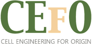 세포바이오, 대퇴골두골괴사 세포치료제 'CF-M801' 임상 2상 첫 환자 투... - 뉴스 썸네일 이미지