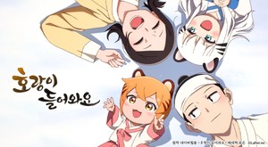 카툰네트워크 코리아, 톰과 제리 고코 시즌 2·마루는 강쥐·호랑이 들어... - 뉴스 썸네일 이미지