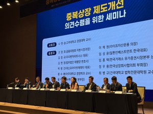 중복상장 예외 기준 내주 공개...주주동의 방식 놓고 막판 고심 - 뉴스 썸네일 이미지