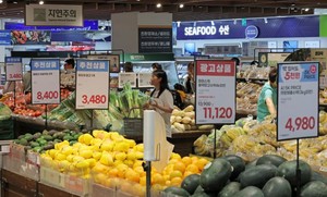 유통법 개정 논의 재점화…홈플러스 잔존 사업 부문 매각 동아줄 될까