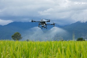 대동, DJI 농업드론 3종 공급...'데이터 농업'으로 반복매출 키운다 - 뉴스 썸네일 이미지