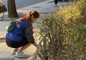 언론 보도